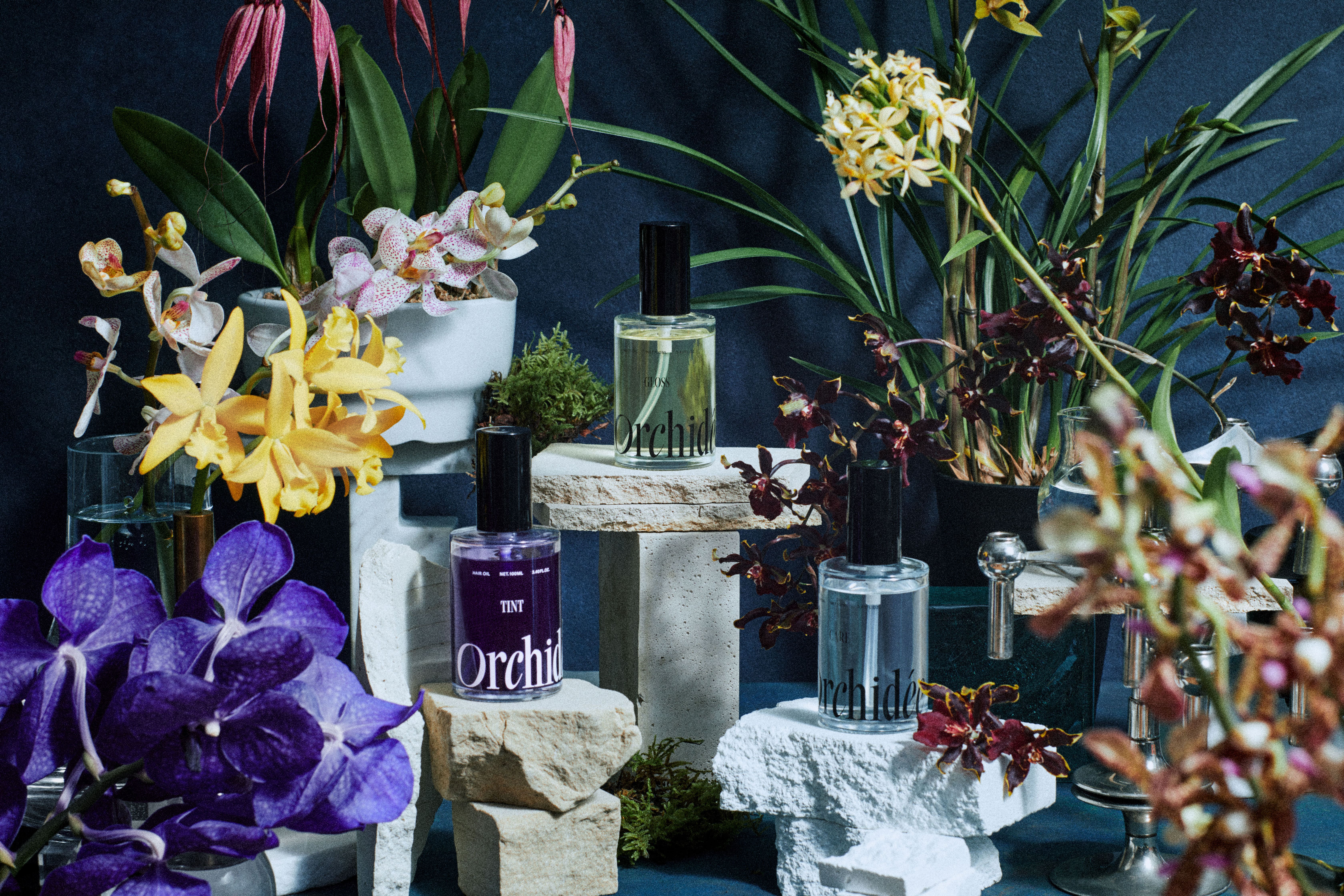 新フレグランス ヘアオイル 「Maison Orchidée（メゾンオルキデ）