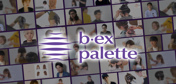 b-ex palette