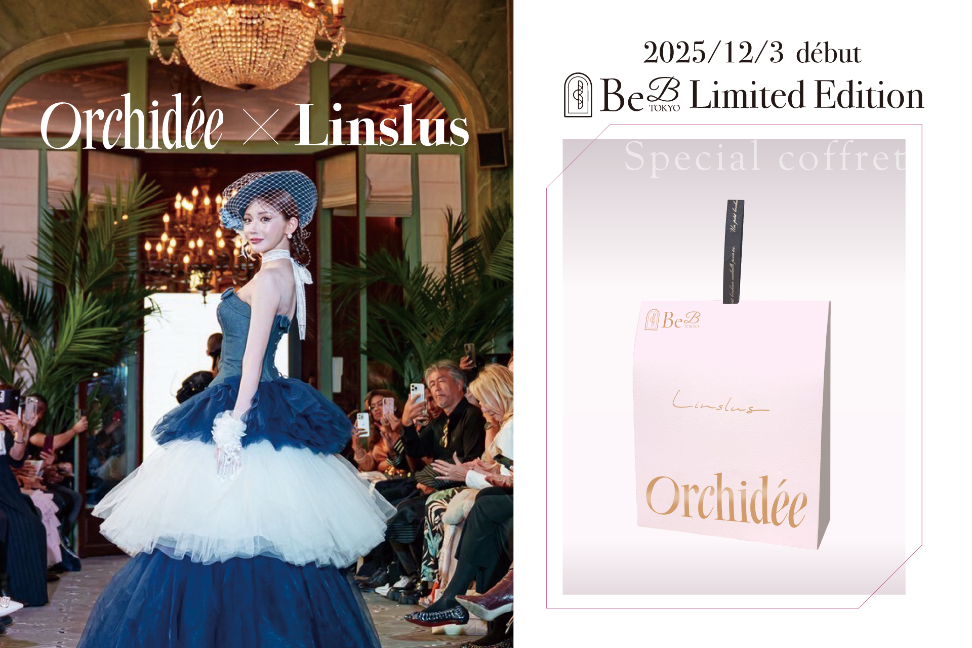 Maison Orchidée × Linslus メインビジュアル