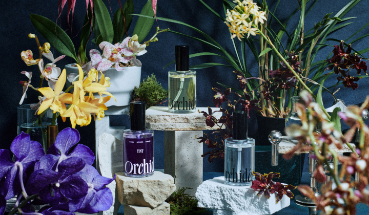 orchidee オルキデ