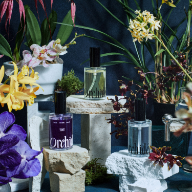 orchidee オルキデ