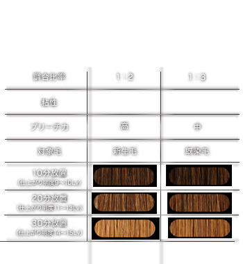 b-bleach 薬剤調合