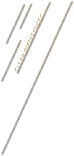 b-bleach その差歴然