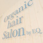 Organic hair Salon by EQ