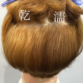 ブリーチは濡れた髪と乾いた髪どっちに塗る？脱色力の違いを比較してみた