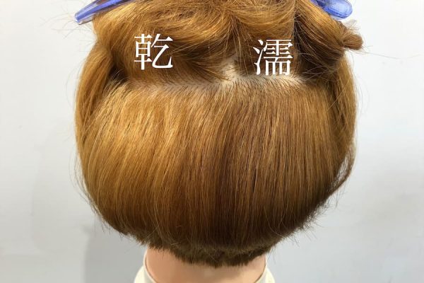 ブリーチは濡れた髪と乾いた髪どっちに塗る？脱色力の違いを比較してみた