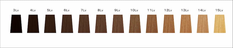 カラースケール