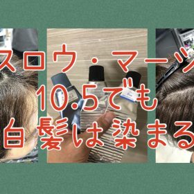 【スロウマージ10.5・白髪染め】普通なら染まらない明るさでもマージの10.5は染まる！？≪カーキベージュ編≫