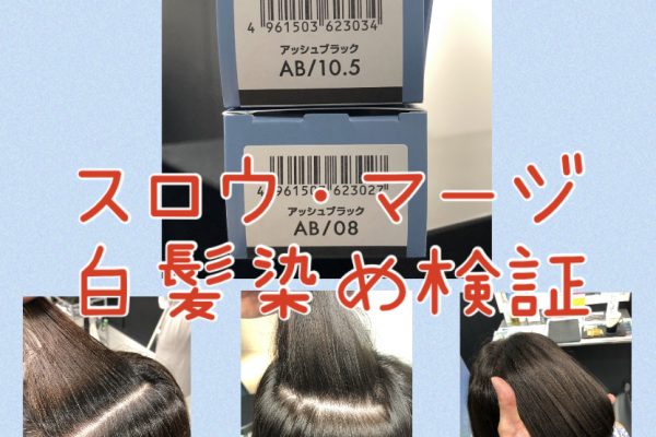 【マージ検証・白髪】スロウ・マージのアッシュブラックで白髪染めをしたらこうなった！？