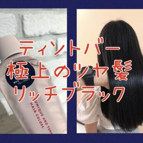 【大人な暗髪・リッチな艶髪】ティントバーのリッチブラックで極上の大人美髪カラーを♪