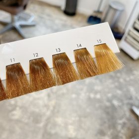 色の明るさ・トーン見本