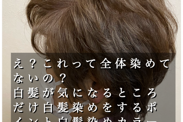 え？これって全体染めてないの？白髪がきになるところだけしらがぞめをするポイント白髪染めカラー