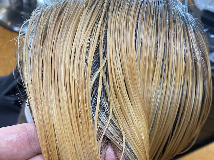 ブリーチ後のベース