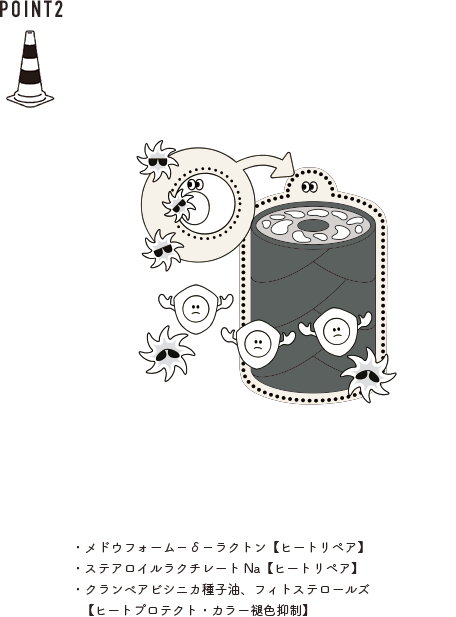 あらゆる敵から髪を守る！毛髪ダメージを予防&ケア