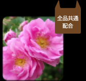 ダマスクローズオイル