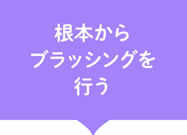 根本からブラッシングを行う
