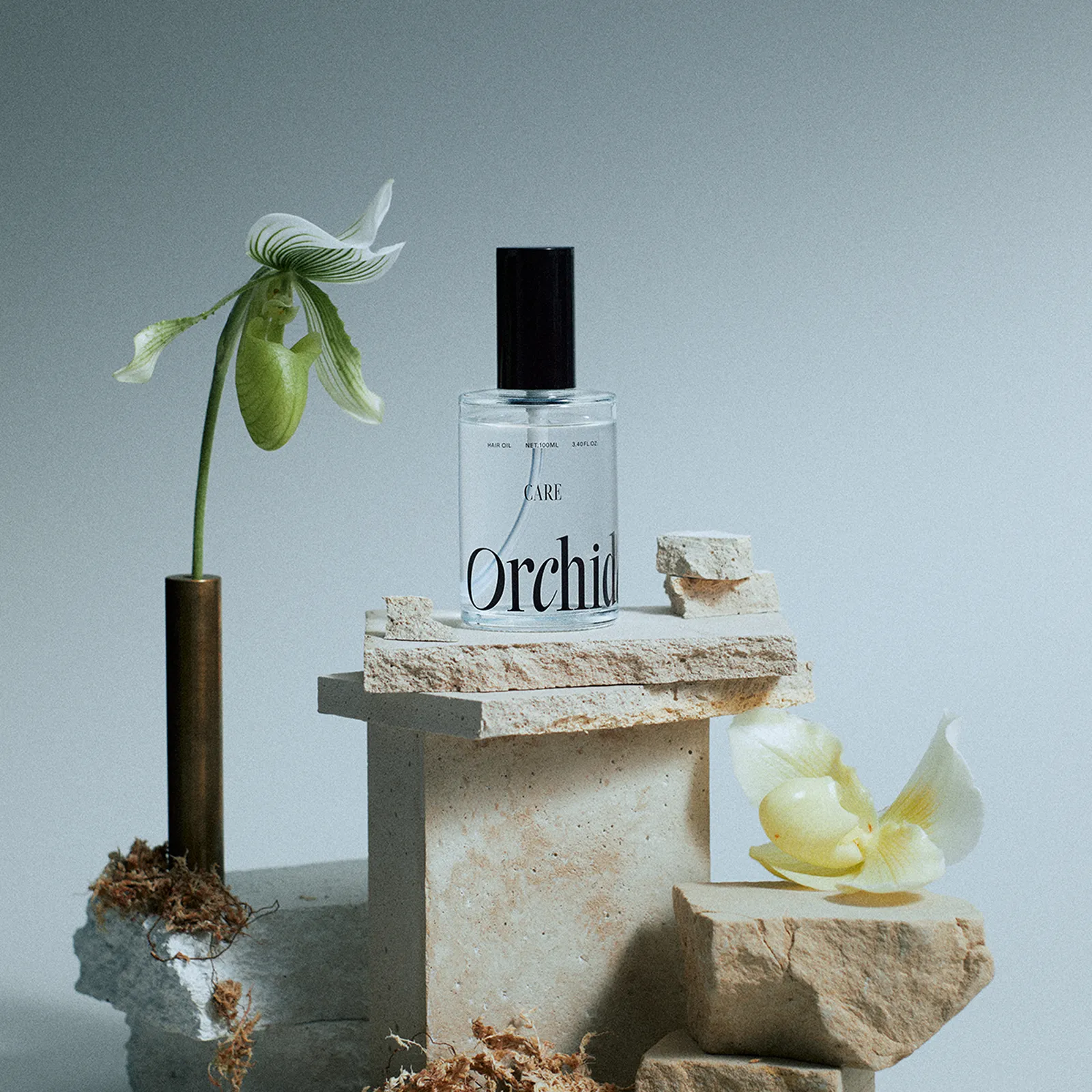 Orchidée