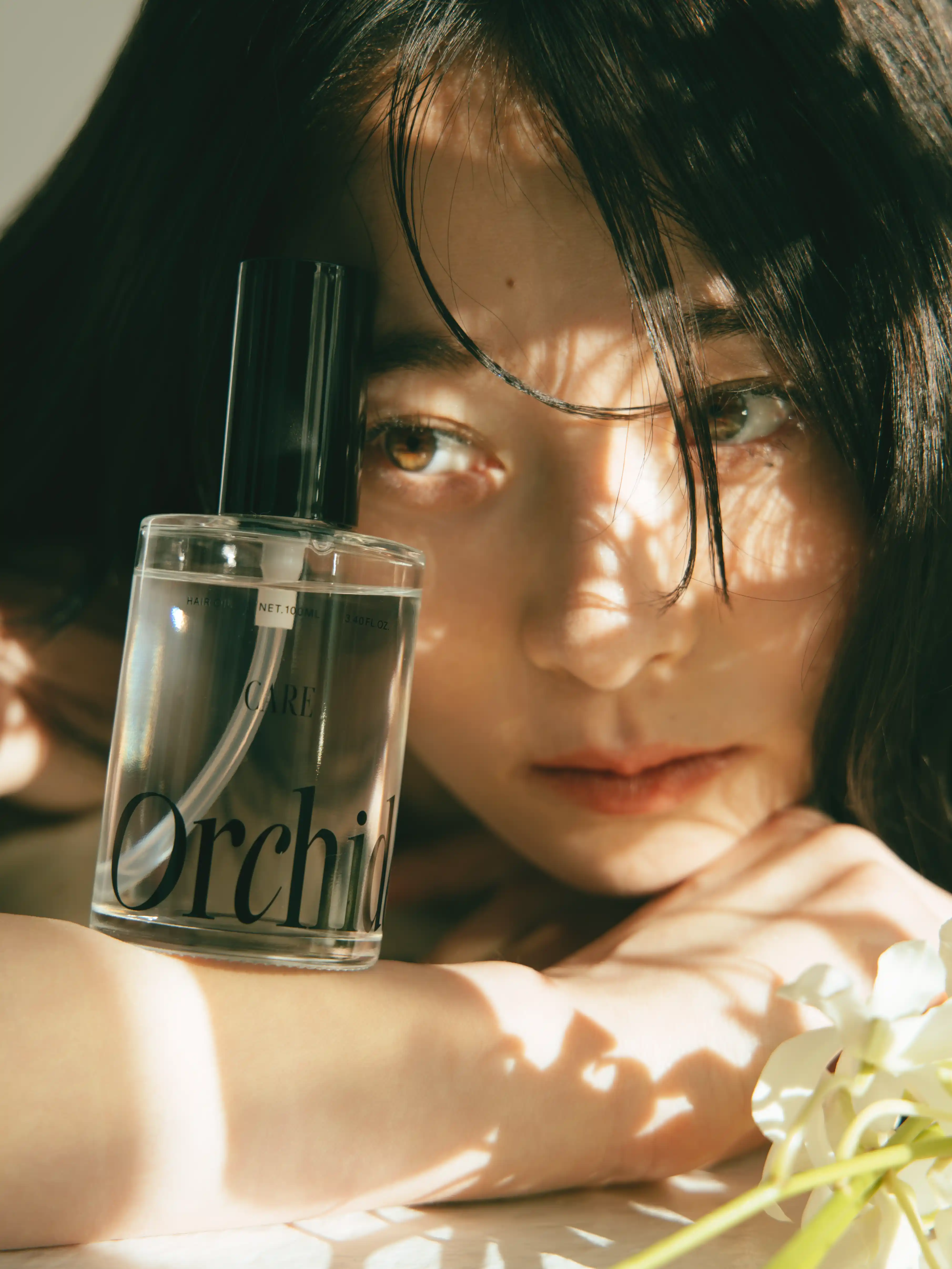Orchidée KVビジュアル