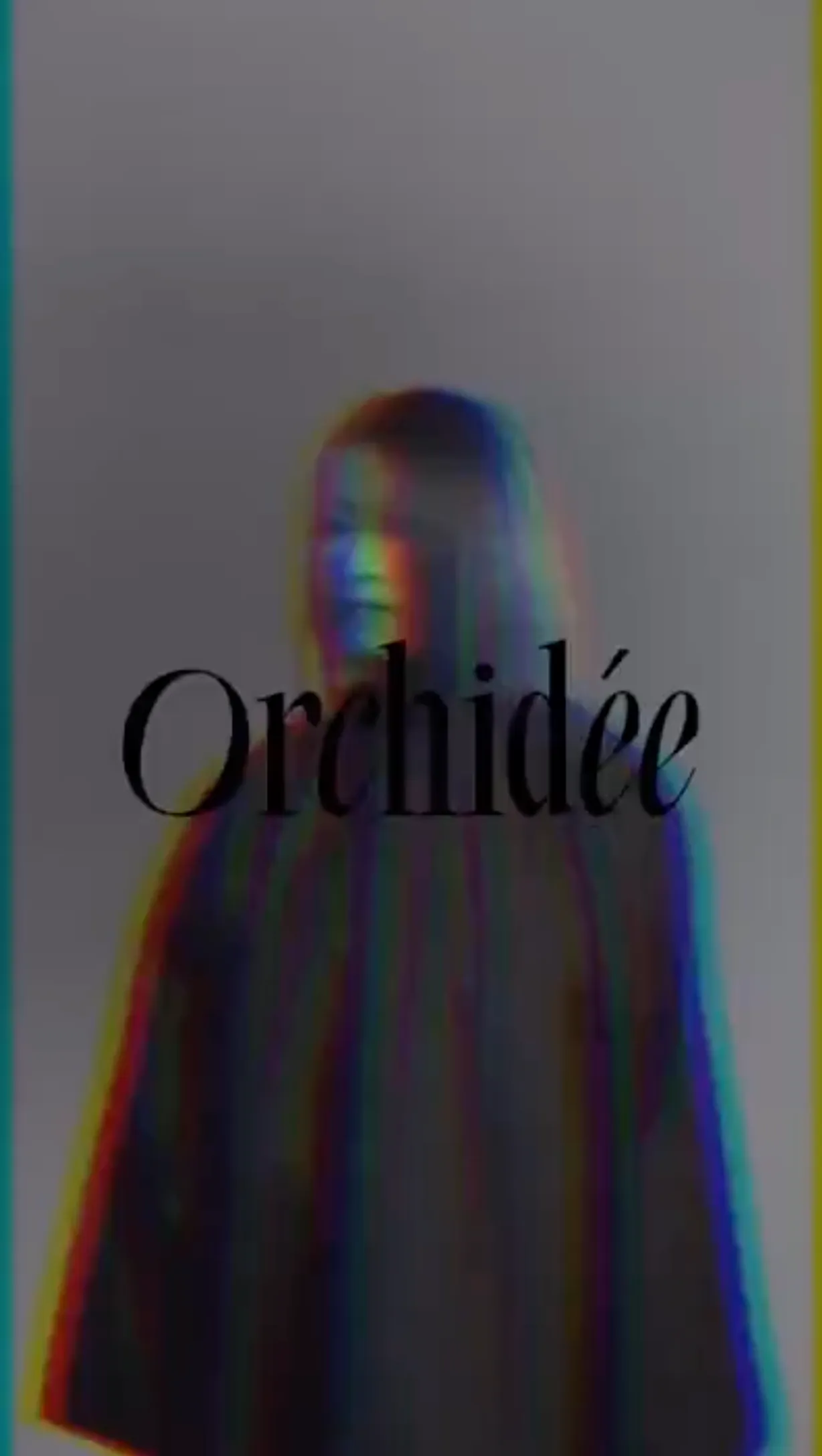 撮影イメージ2