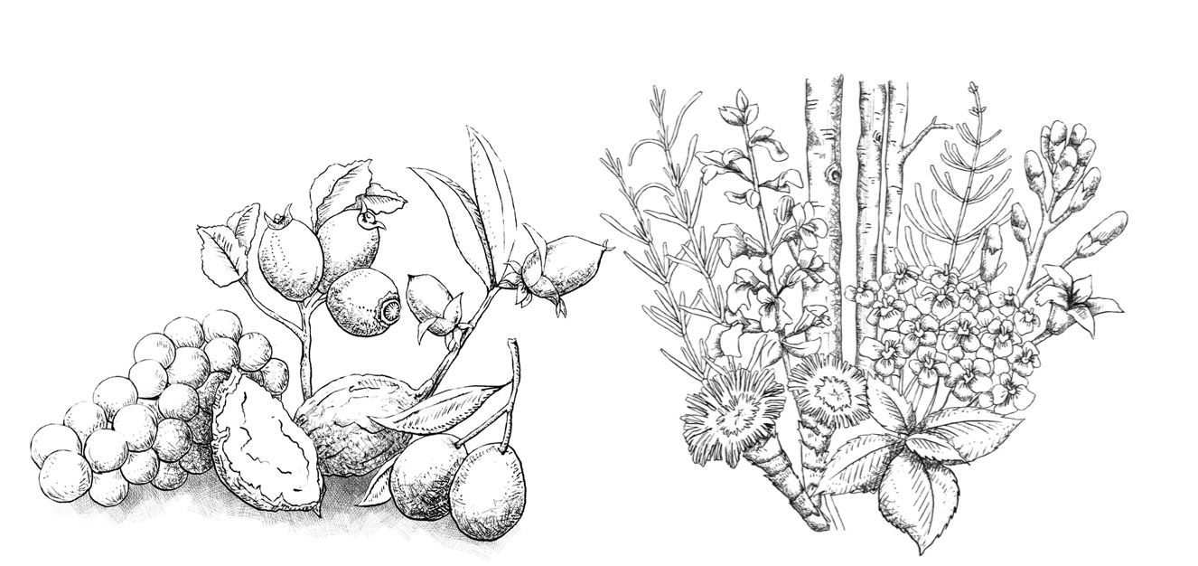 「DUAL SILK COMPLEX」配合で、やわらかなツヤとしなやかさのある髪へ