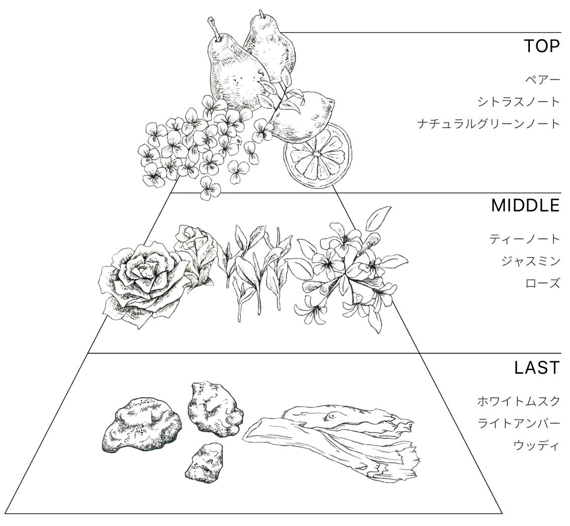 「DUAL SILK COMPLEX」配合で、やわらかなツヤとしなやかさのある髪へ